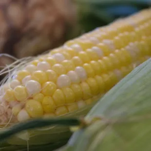 corn on the cob and carrots