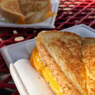 a grilled cheese sandwich on a plate