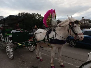 Mid-City Carriages