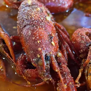 a close up of a lobster