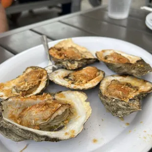 Deckhand Oysters