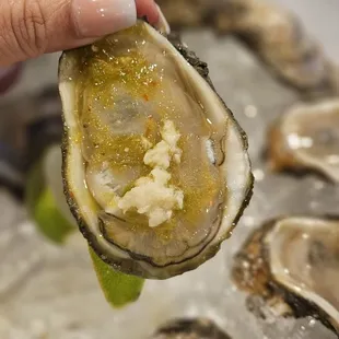 Gulf oysters with fish sauce aka deckhand house sauce