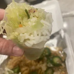 Spring roll
