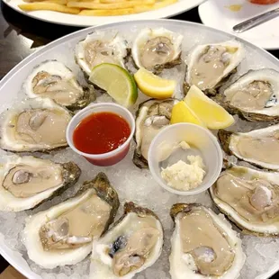 Oysters
