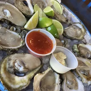 Raw Oysters