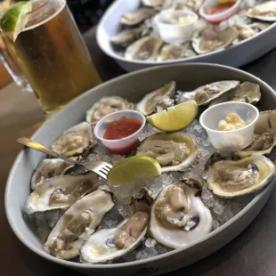 Fresh Oysters