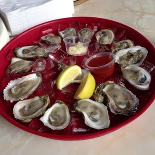 Oysters on the Half Shell