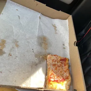 A piece of a cheese slice with oregano.