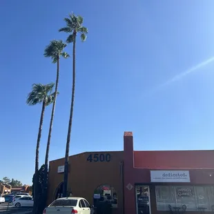 Dedicated gluten free bakery