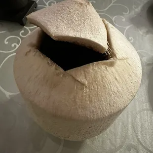 Young Coconut