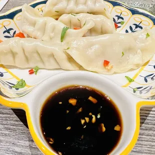 Wonton Dumplings