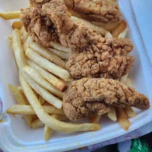 Chicken strips and fries
