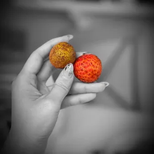 Australian Lychee and Hawaiian Longan @whaevaeats