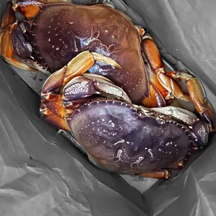Dungeness Crabs @whaevaeats