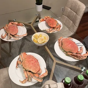 Dungeness crab