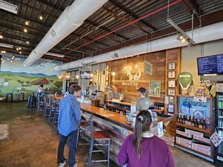Benchtop Brewing
