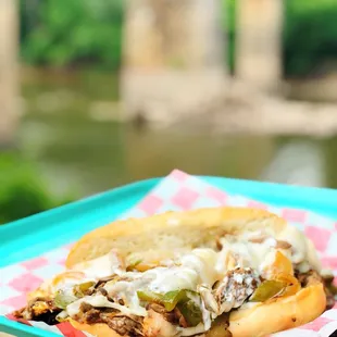 a pulled pork sandwich on a paper plate