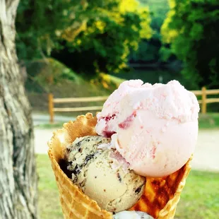 The Triple Crown: Strawberry, Cappuccino Crunch &amp; Chocolate Chip Cookie Dough! With river views!