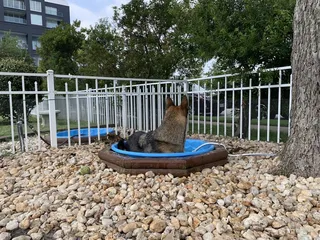 Peta's Bea Arthur Dog Park