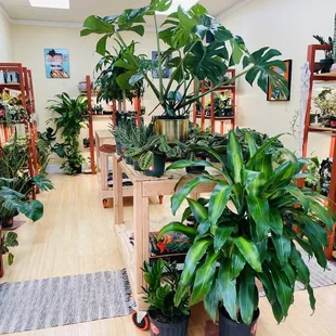 It's so relaxing in here