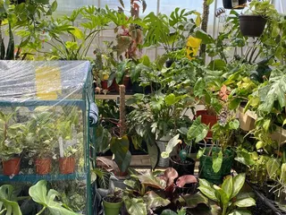 Guthrie's Greenhouse