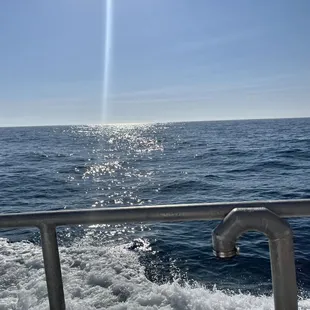 The beauty of the sea