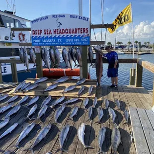 Catch from the Gulf Eagle on August 11,2021.