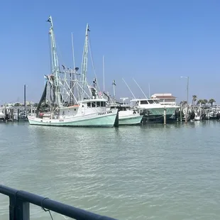 In the bay