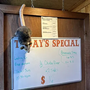 a cat hanging on a sign