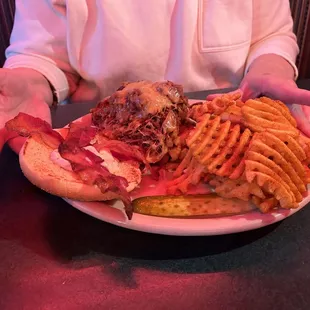 Pulled pork sandwich with bbq flavored waffle fries