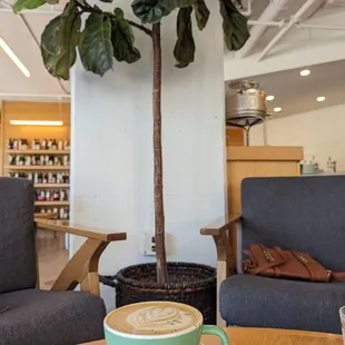 Key Lime Latte. - Absolute MUST!