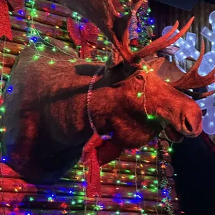a moose head and christmas lights