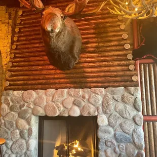 a deer head mounted above a fireplace