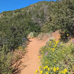 Meadowlark Plymouth Creek and Plymouth Mountain Trail Loop | Instagram: @telephonesmoothie