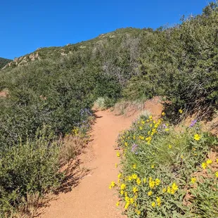 Meadowlark Plymouth Creek and Plymouth Mountain Trail Loop | Instagram: @telephonesmoothie