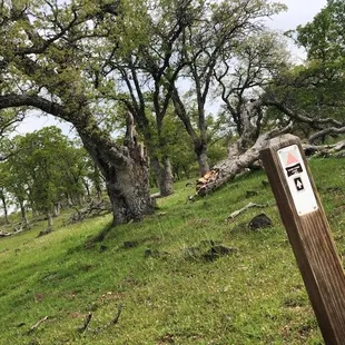 Deer Creek Hills Preserve