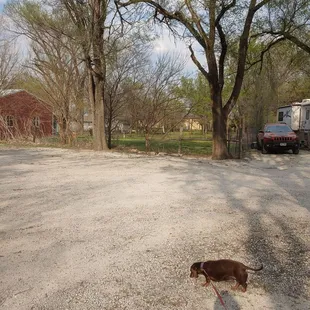 Some of the neighbors