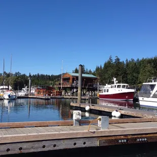 Deer harbor marina Sea planes come right next to you