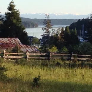 Gorgeous walk from the marina to the restaurant