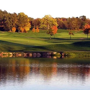 Beautiful fall foliage!