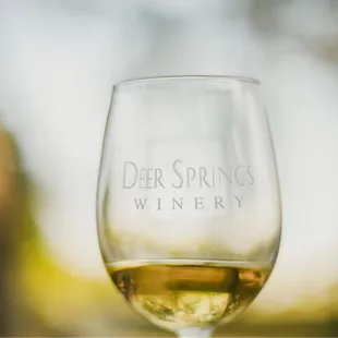 Wine Tasting!