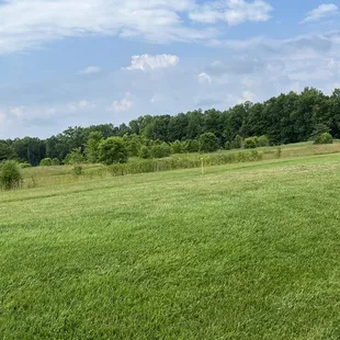 &quot;Tee box&quot;