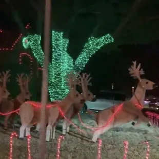 Deerfield Christmas Lights in Plano Texas