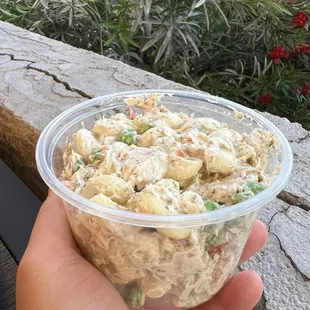 Pasta Salad