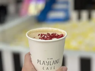 Playland Indoor Playground