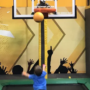 Trampoline Basketball