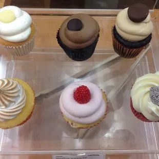 Great day for a cupcake!