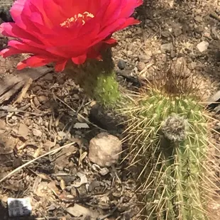 Love Mother Nature
