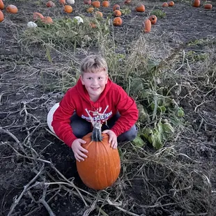 Pumpkin patch