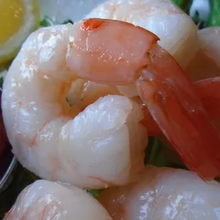 Shrimp, close-up.